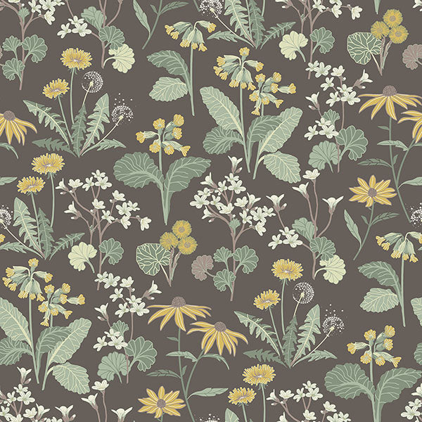Purchase sample of 4080-92133 Ingrid, Magdalena Charcoal Dandelion Charcoal Green Gold by A-Street Prints Wallpaper