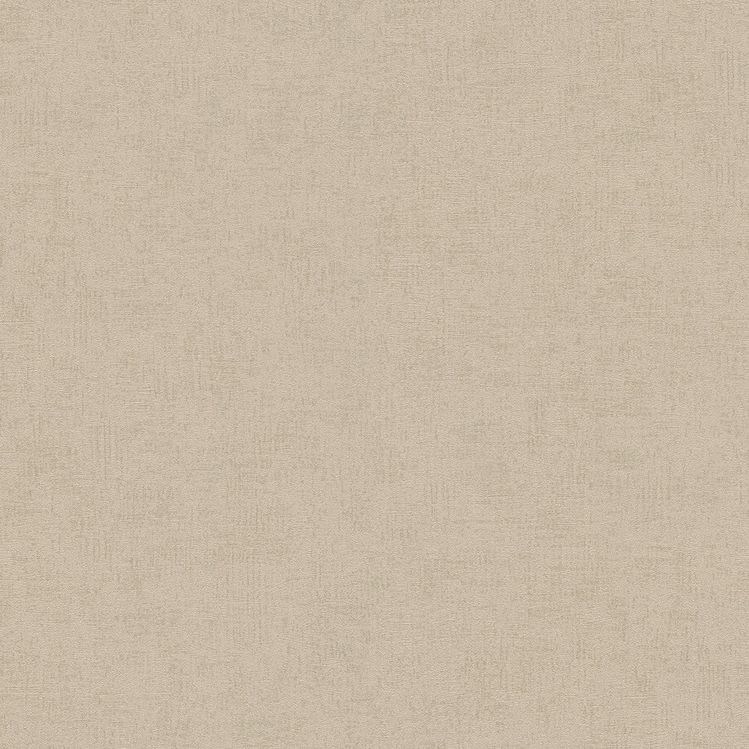 Shop 4082-381971 Titanium Steno Light Brown Plaster Wallpaper Light Brown by Advantage