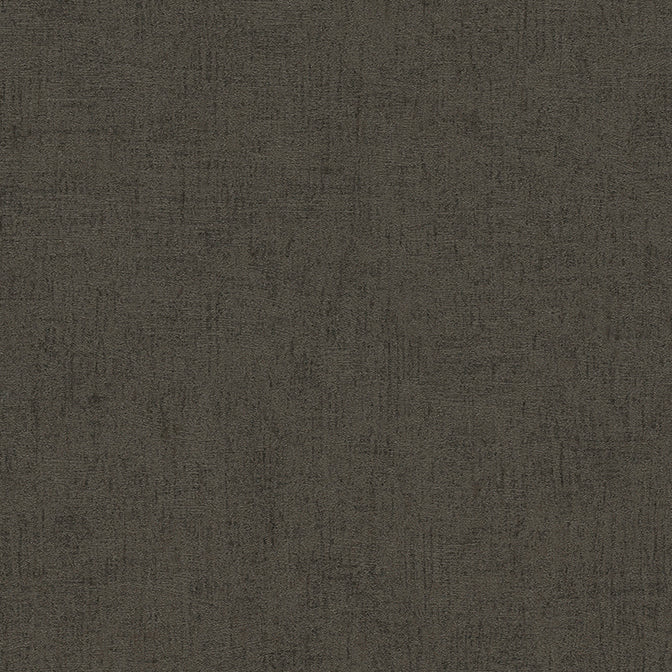 Purchase 4082-381975 Titanium Steno Chocolate Plaster Wallpaper Chocolate by Advantage