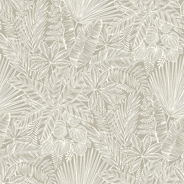 Purchase 4120-26800 A-Street Wallpaper, Vita Light Brown Botanical - Middleton