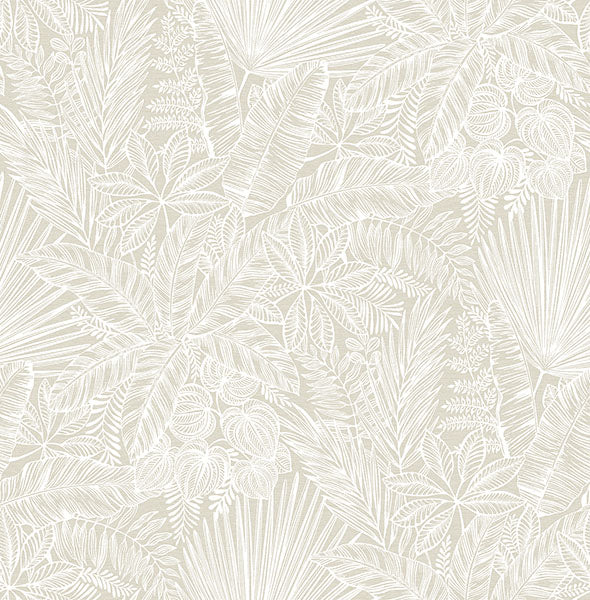 Purchase 4120-26805 A-Street Wallpaper, Vita Off-White Botanical - Middleton