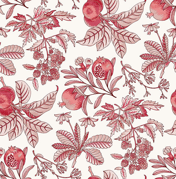 Purchase 4120-26812 A-Street Wallpaper, Cecilia Red Fruit - Middleton