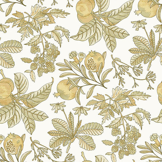 Purchase 4120-26813 A-Street Wallpaper, Cecilia Honey Fruit - Middleton