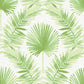 Purchase 4121-26911 A-Street Wallpaper, Calla Green Painted Palm Wallpaper - Mylos