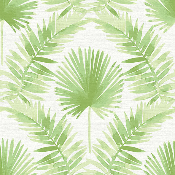 Purchase 4121-26911 A-Street Wallpaper, Calla Green Painted Palm Wallpaper - Mylos