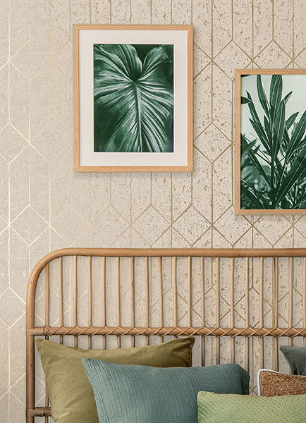 Purchase 4125-26702 Advantage Wallpaper, Hayden Bone Concrete Trellis - Fusion12