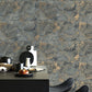 Purchase 4125-26734 Advantage Wallpaper, Aria Slate Marbled Tile - Fusion12