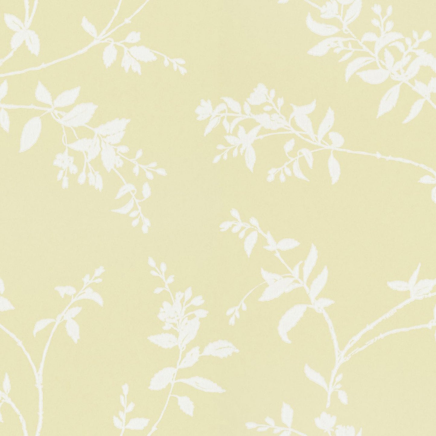 430-22 Schersmin yellow, Arboretum by Sandberg Wallpaper