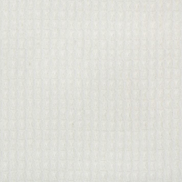 Order 4457.1.0 Sculptural Ivory Texture Ivory Kravet Couture Fabric