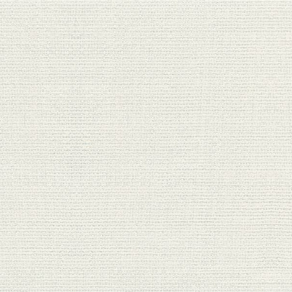 Select 4502.101.0 Metallic White Kravet Basics Fabric