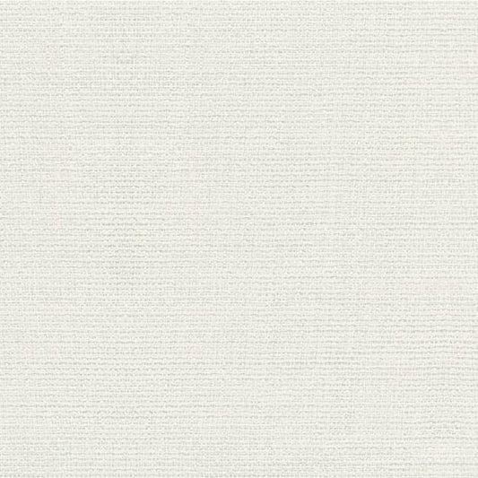 Select 4502.101.0 Metallic White Kravet Basics Fabric