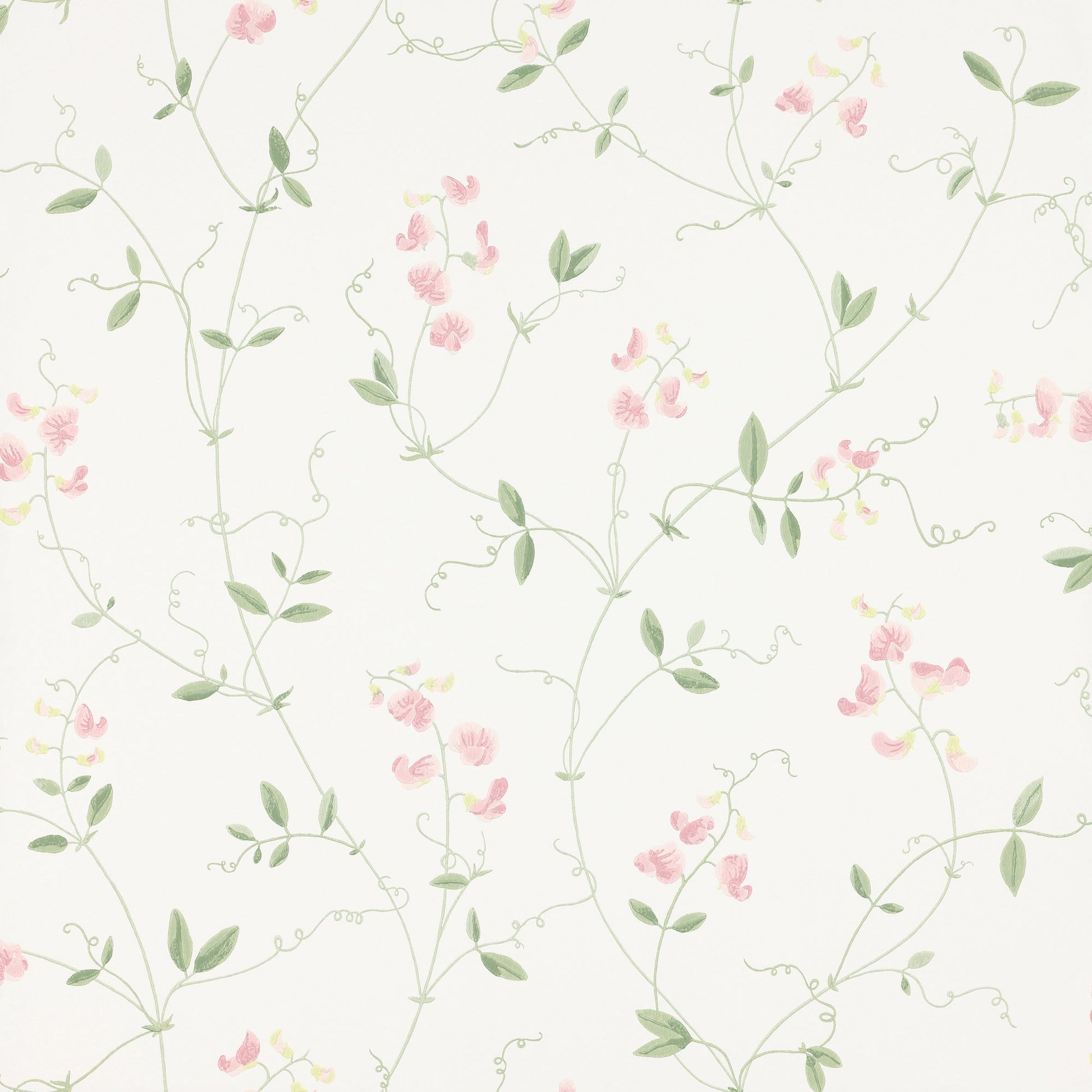490-24 Sanna light pink, Arv by Sandberg Wallpaper