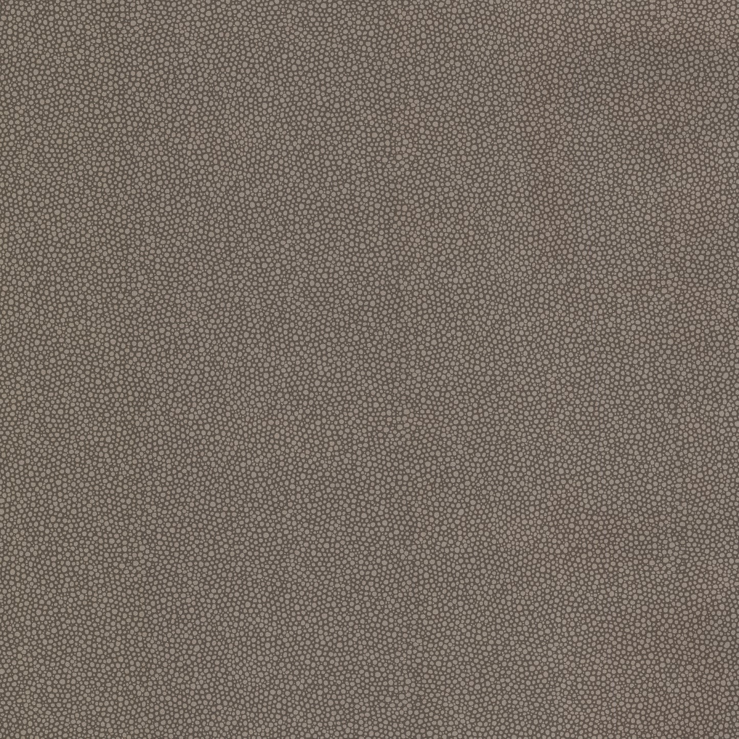 Looking 499-20025 Ez Hang Textures VI Spore Brewster Wallpaper