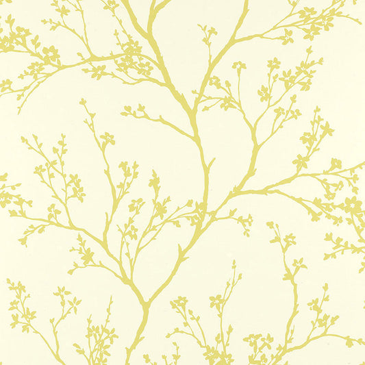 Acquire 5003342 Twiggy Soft Chartreuse by Schumacher Wallpaper