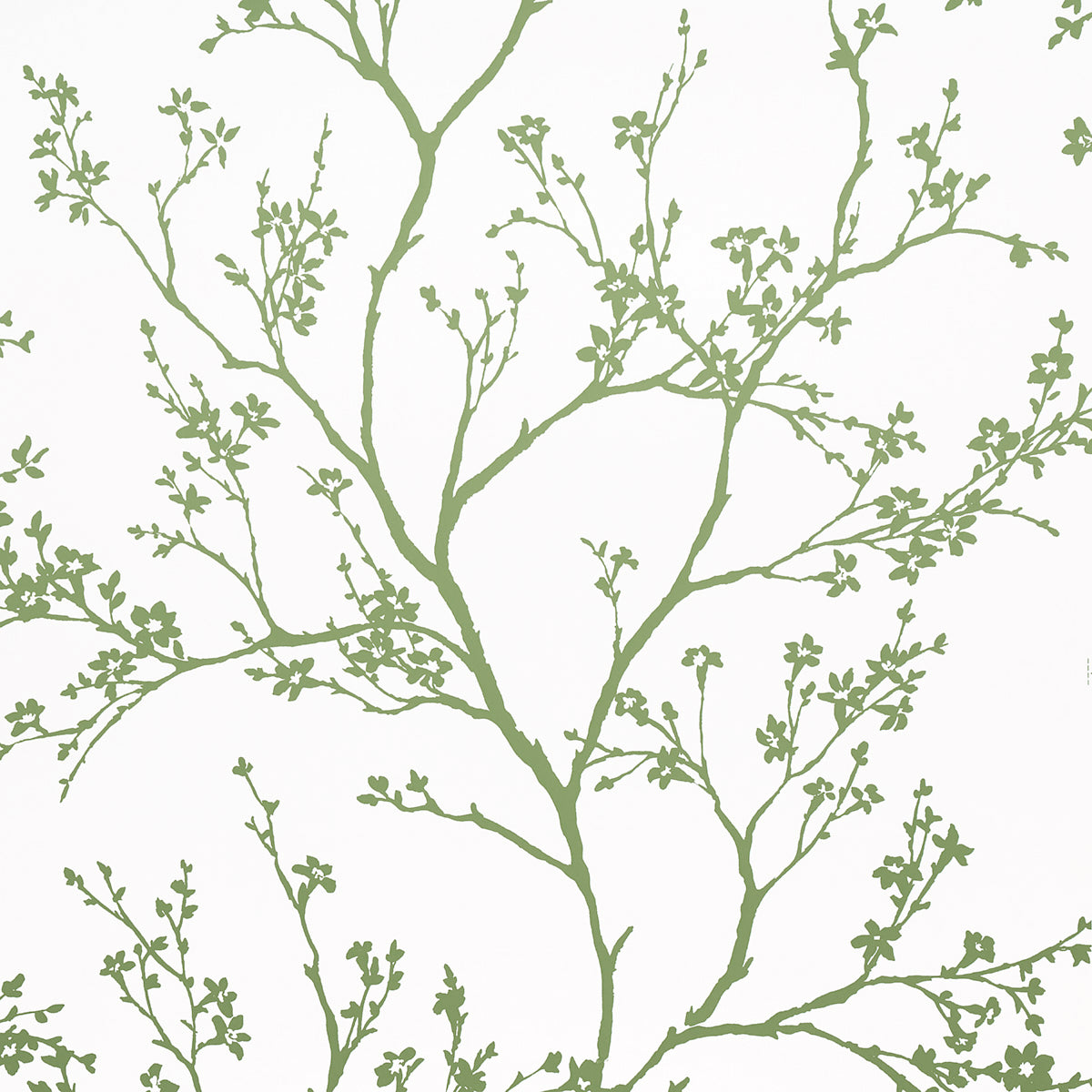 Purchase 5003345 | Twiggy, Green - Schumacher Wallpaper