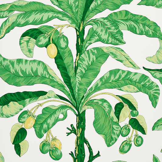 Order 5004064 Blair House Palm Wallpaper