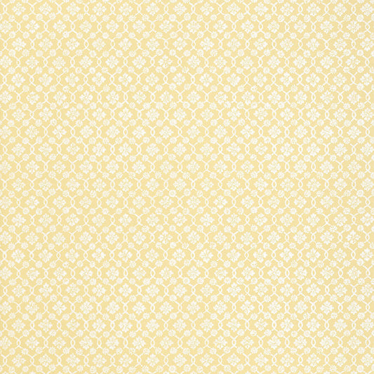 Looking for 5004144 Harbury Trellis Buttercup by Schumacher Wallpaper