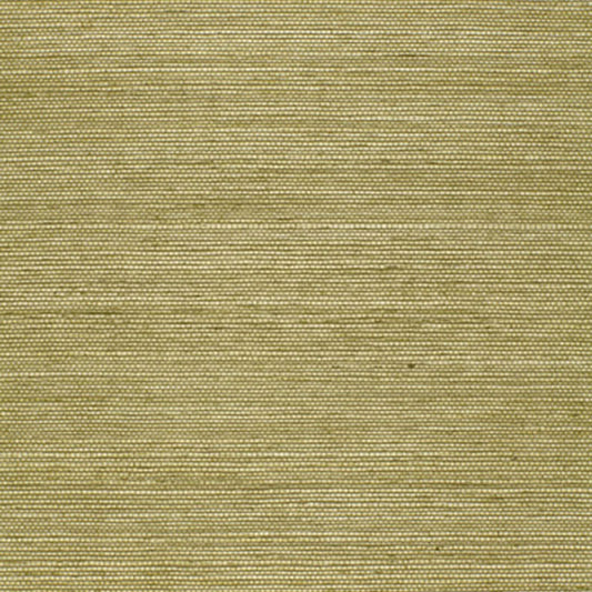 Search 5004709 Haruki Sisal Olive by Schumacher Wallpaper
