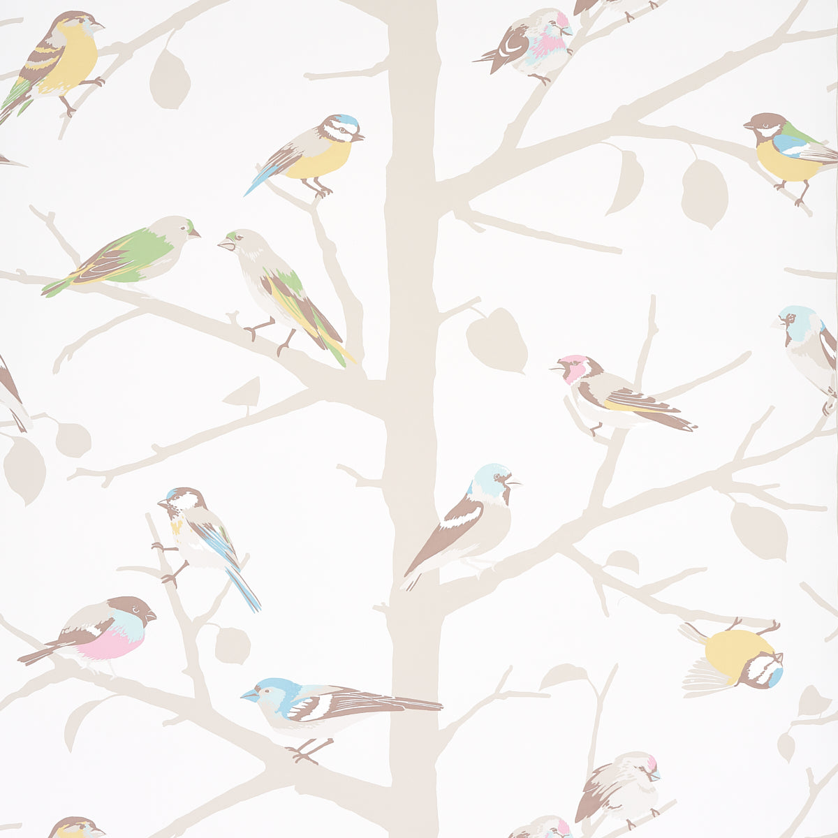 Purchase 5005033 | A-Twitter, Soft Multi - Schumacher Wallpaper