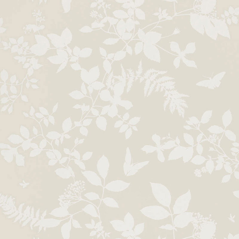 Shop 5005100 Shadow Vine Bone by Schumacher Wallpaper