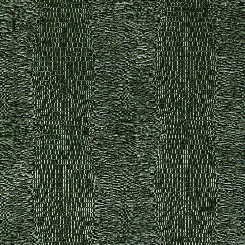 Looking for 5007342 Komodo Forest Green by Schumacher Wallpaper