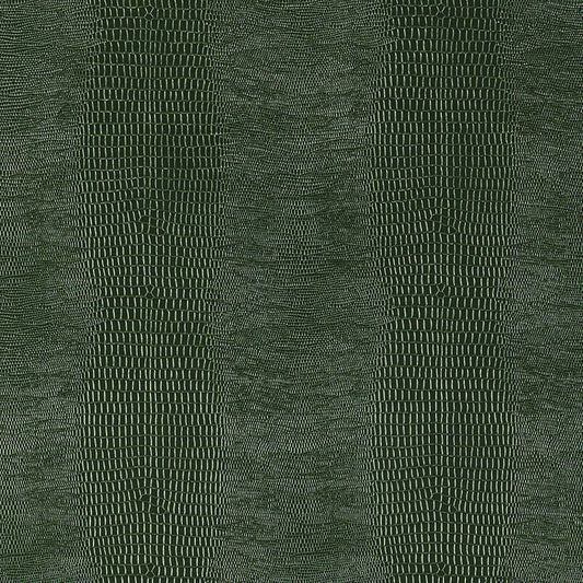 Looking for 5007342 Komodo Forest Green by Schumacher Wallpaper