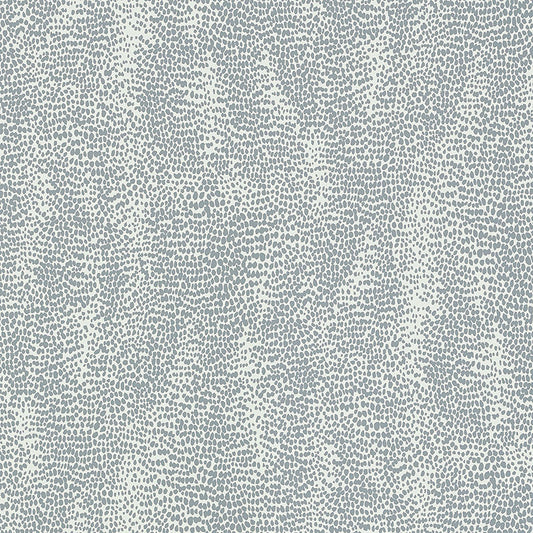 Buy 5007571 Drizzle Dove by Schumacher Wallpaper