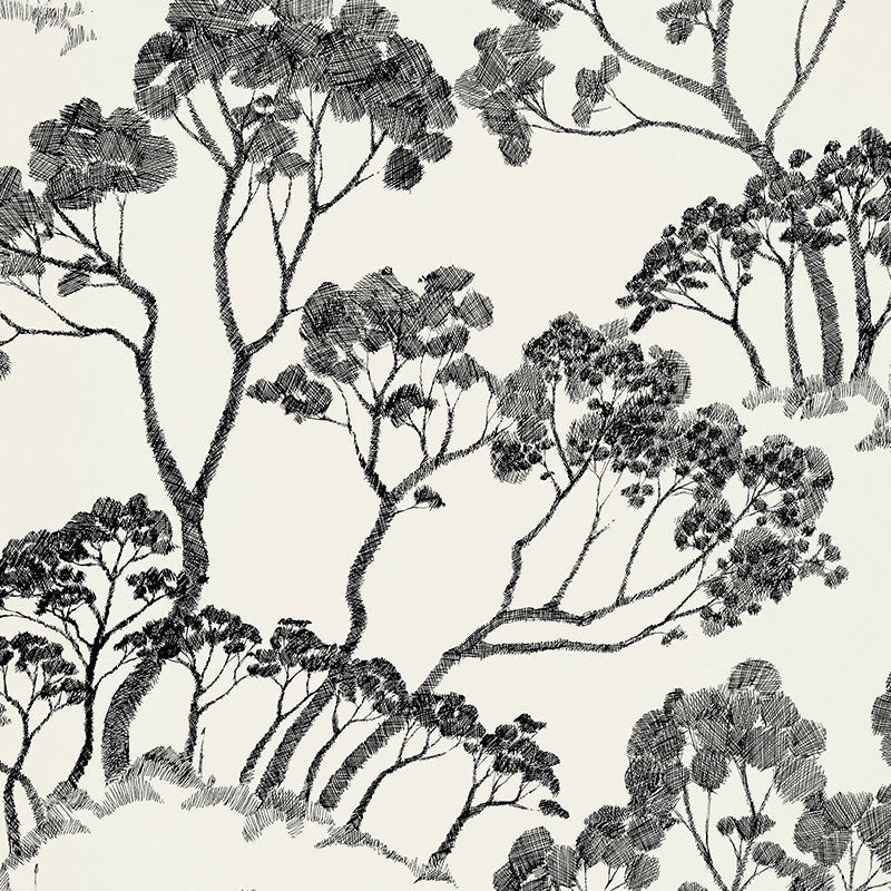 Looking for 5007980 Timber ! Black and White by Schumacher Wallpaper