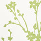 Search 5008941 Twiggy Paperweave Leaf by Schumacher Wallpaper