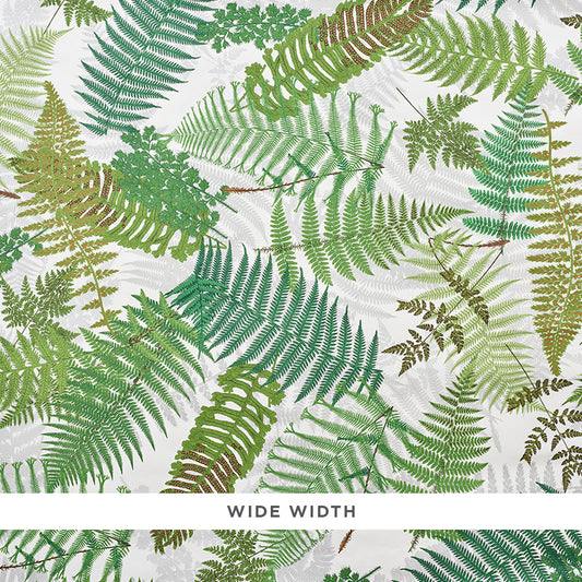 Search 5009190 Fernarium Ivory and Leaf by Schumacher Wallpaper