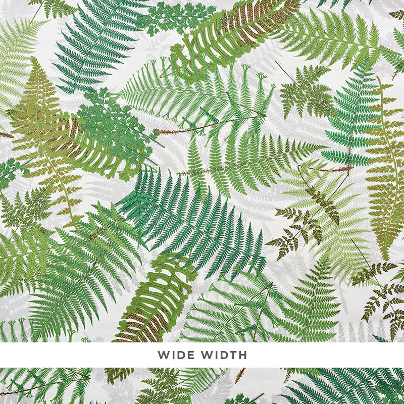 Search 5009190 Fernarium Ivory and Leaf by Schumacher Wallpaper