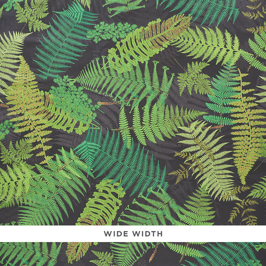 Select 5009191 Fernarium Black and Leaf by Schumacher Wallpaper
