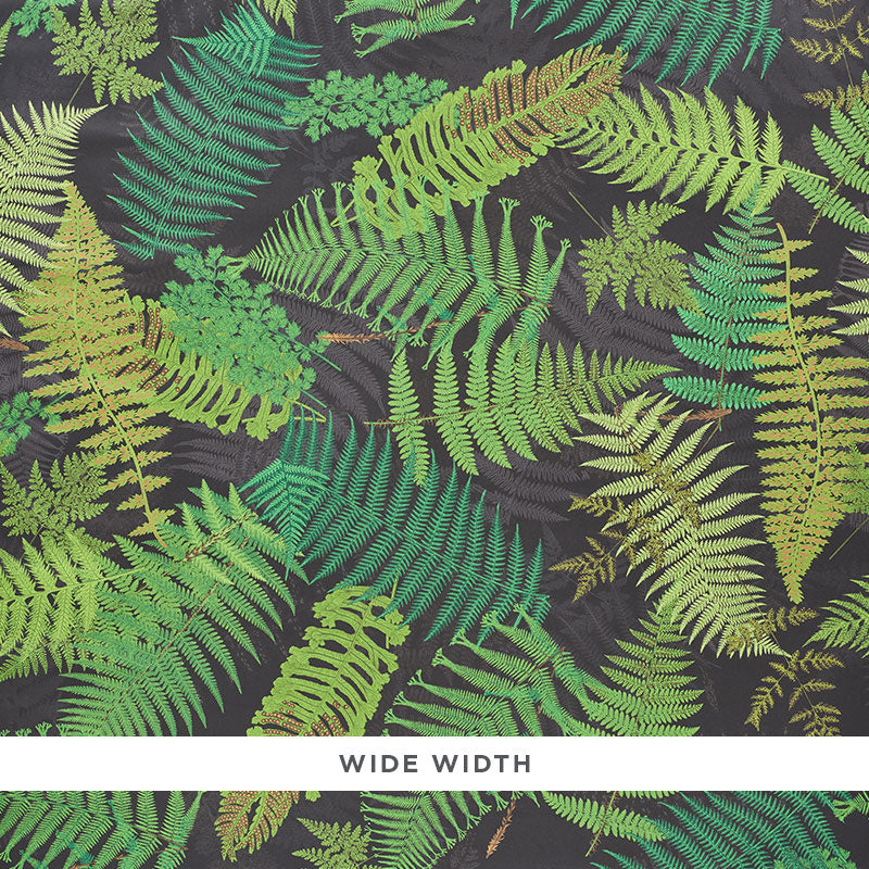 Select 5009191 Fernarium Black and Leaf by Schumacher Wallpaper