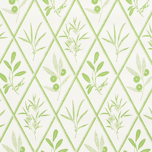 Purchase 5009371 Endimione Leaf by Schumacher Wallpaper