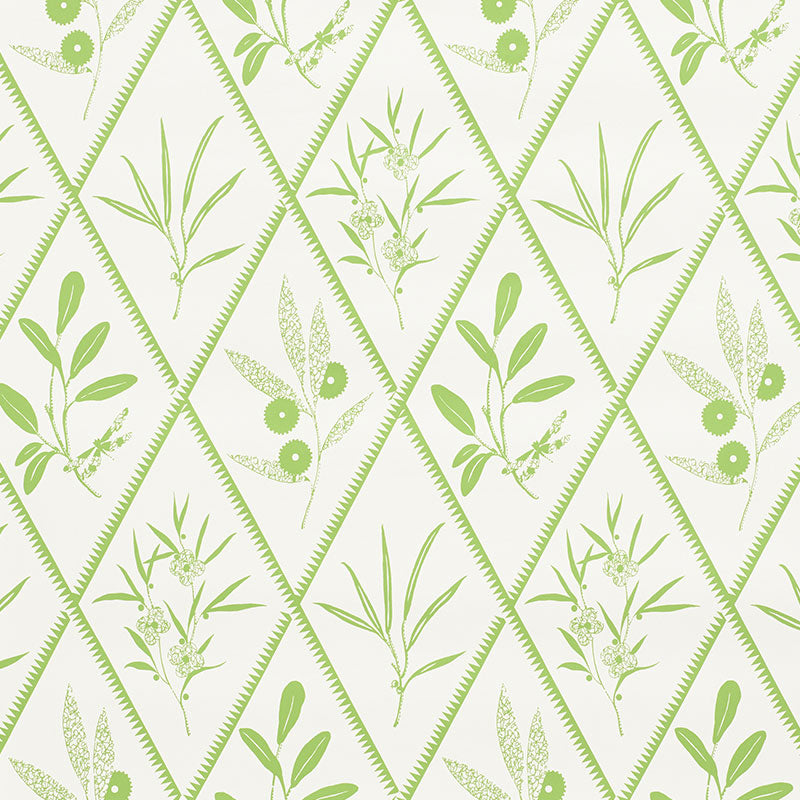 Purchase 5009371 Endimione Leaf by Schumacher Wallpaper