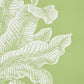 Shop 5009620 Grand Palms Leaf by Schumacher Wallpaper