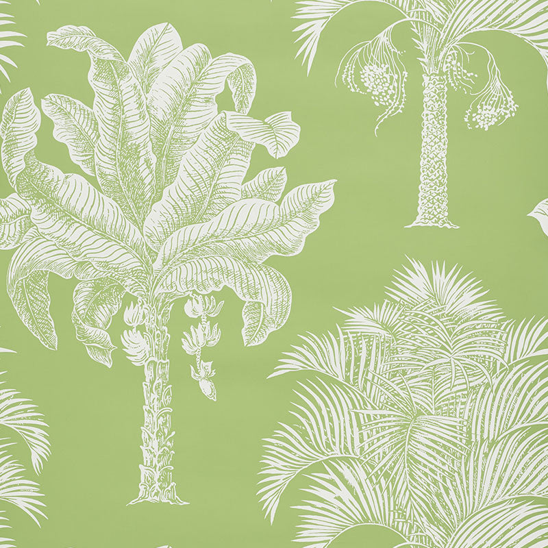 Search 5009620 Grand Palms Leaf by Schumacher Wallpaper
