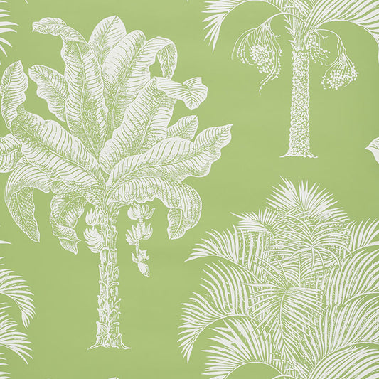 Search 5009620 Grand Palms Leaf by Schumacher Wallpaper