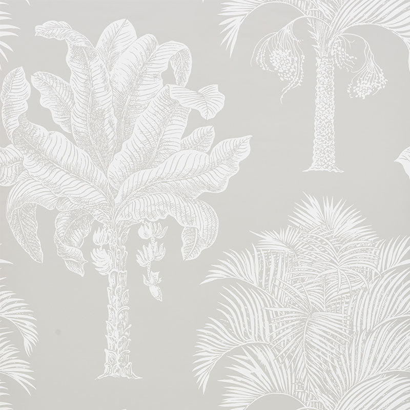 View 5009622 Grand Palms Dove by Schumacher Wallpaper