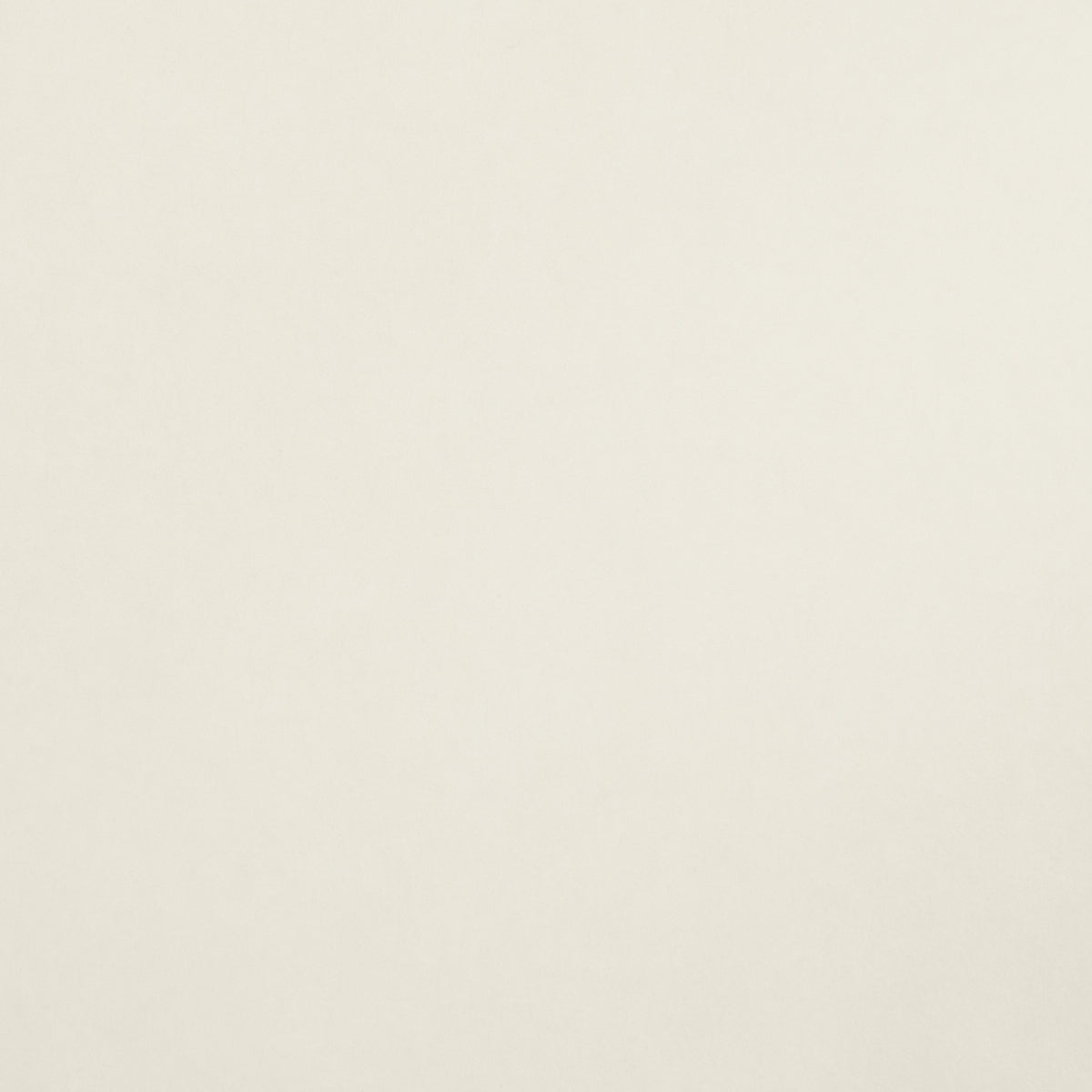 Ivory Background Texture