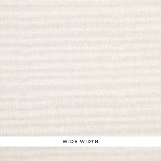 Looking for 5010024 Busoni Moonstone by Schumacher Wallpaper