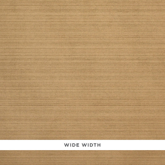 Purchase 5010032 Danova Gold by Schumacher Wallpaper