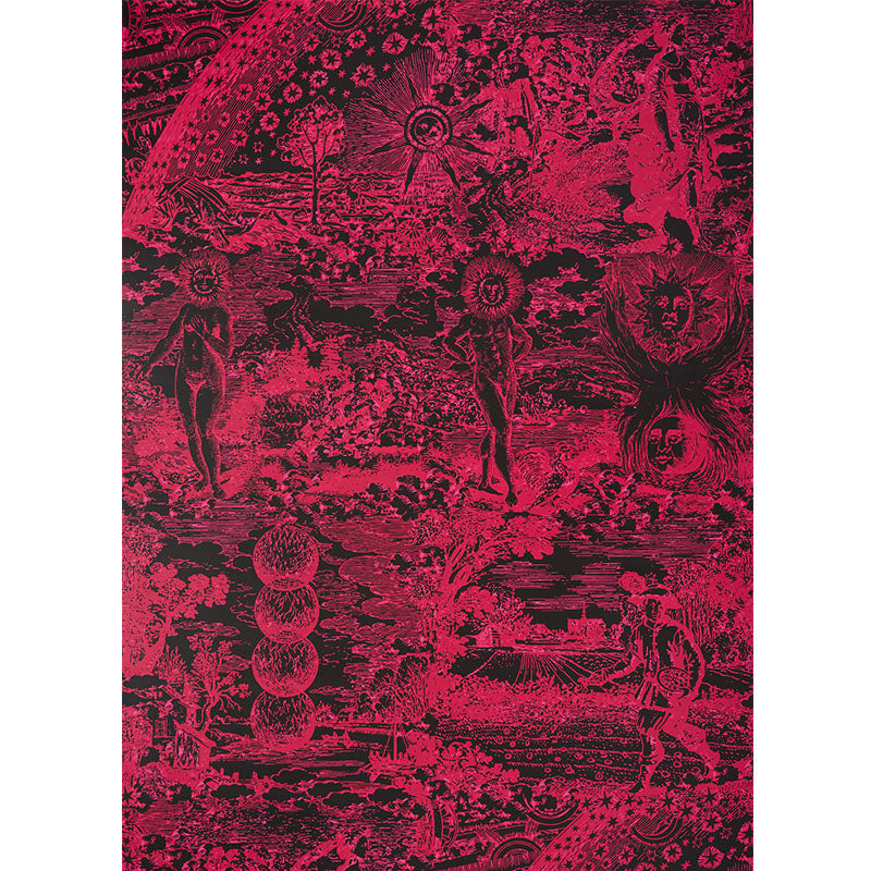 Find 5010423 Modern Toile Pink & Black Schumacher Wallpaper