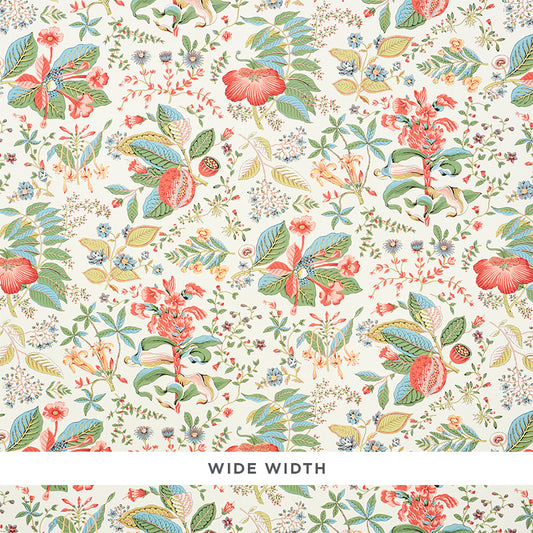 Looking for 5010441 Pomegranate Botanical Document Schumacher Wallpaper