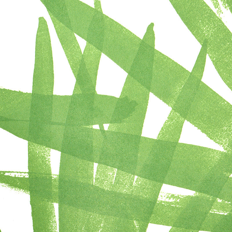 Search 5010560 Sunlit Palm Green Schumacher Wallpaper