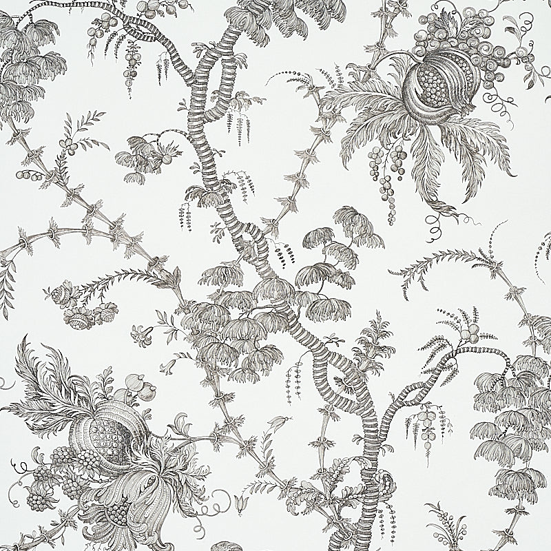 Shop 5010622 San Cristobal Toile Black Schumacher Wallpaper