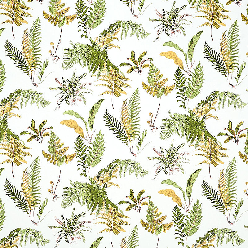 Acquire 5010661 Les Fougeres Spring Schumacher Wallpaper