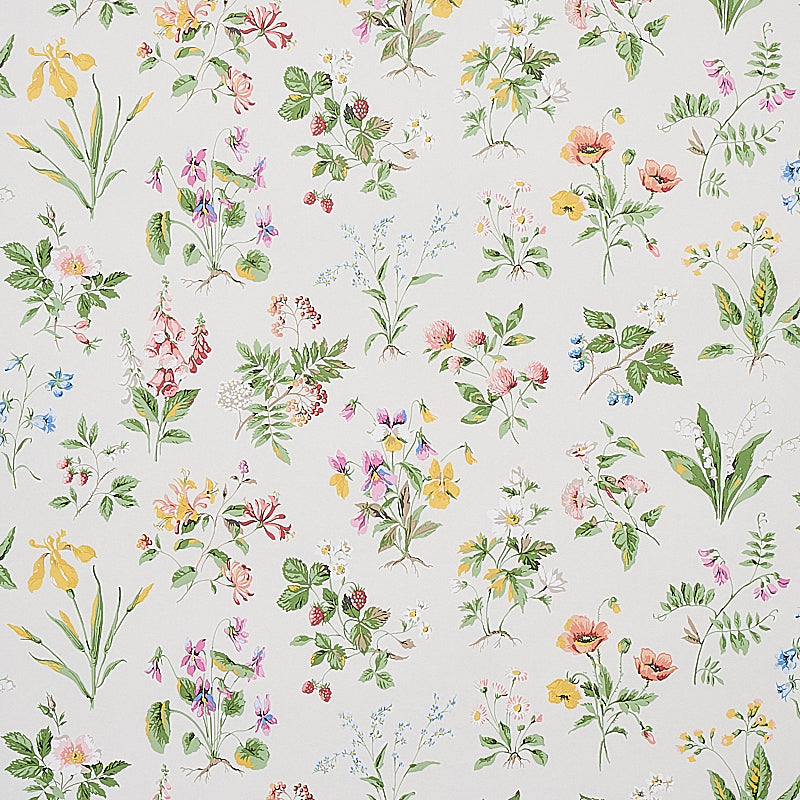Purchase 5010680 Floreana Berry Schumacher Wallpaper