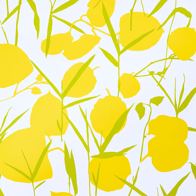 Acquire 5010780 Joan Yellow Schumacher Wallpaper
