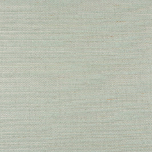 Find 5010858 Haruki Sisal Aloe Schumacher Wallpaper